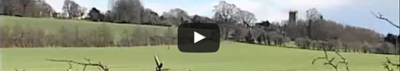 Sporting Pigeon Shooting Winter